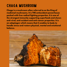 Load image into Gallery viewer, CHAGA Mushroom Powder