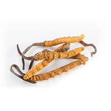Load image into Gallery viewer, CORDYCEPS Mushroom Powder