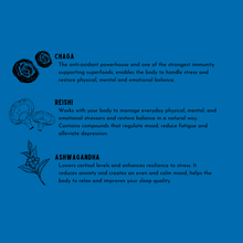 Load image into Gallery viewer, RELAX & RESTORE: 30-day Supplement