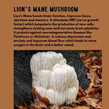 Load image into Gallery viewer, LION&#39;S MANE Mushroom Powder
