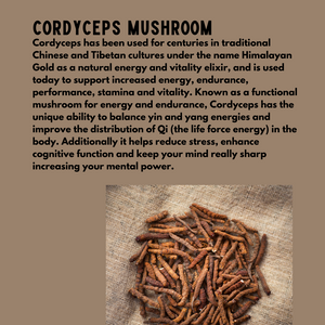 CORDYCEPS Mushroom Powder
