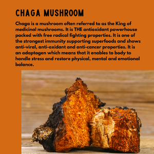 CHAGA Mushroom Powder