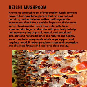 REISHI Mushroom Powder